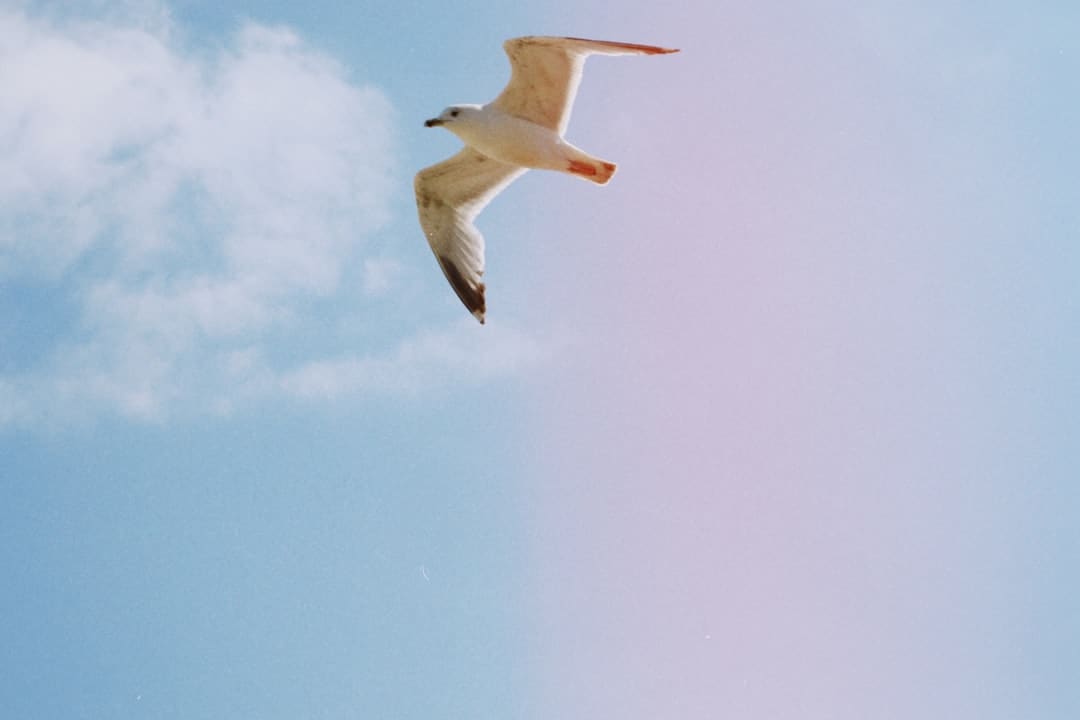 王源七夕送了二十多万礼物 专属浪漫谁能回绝